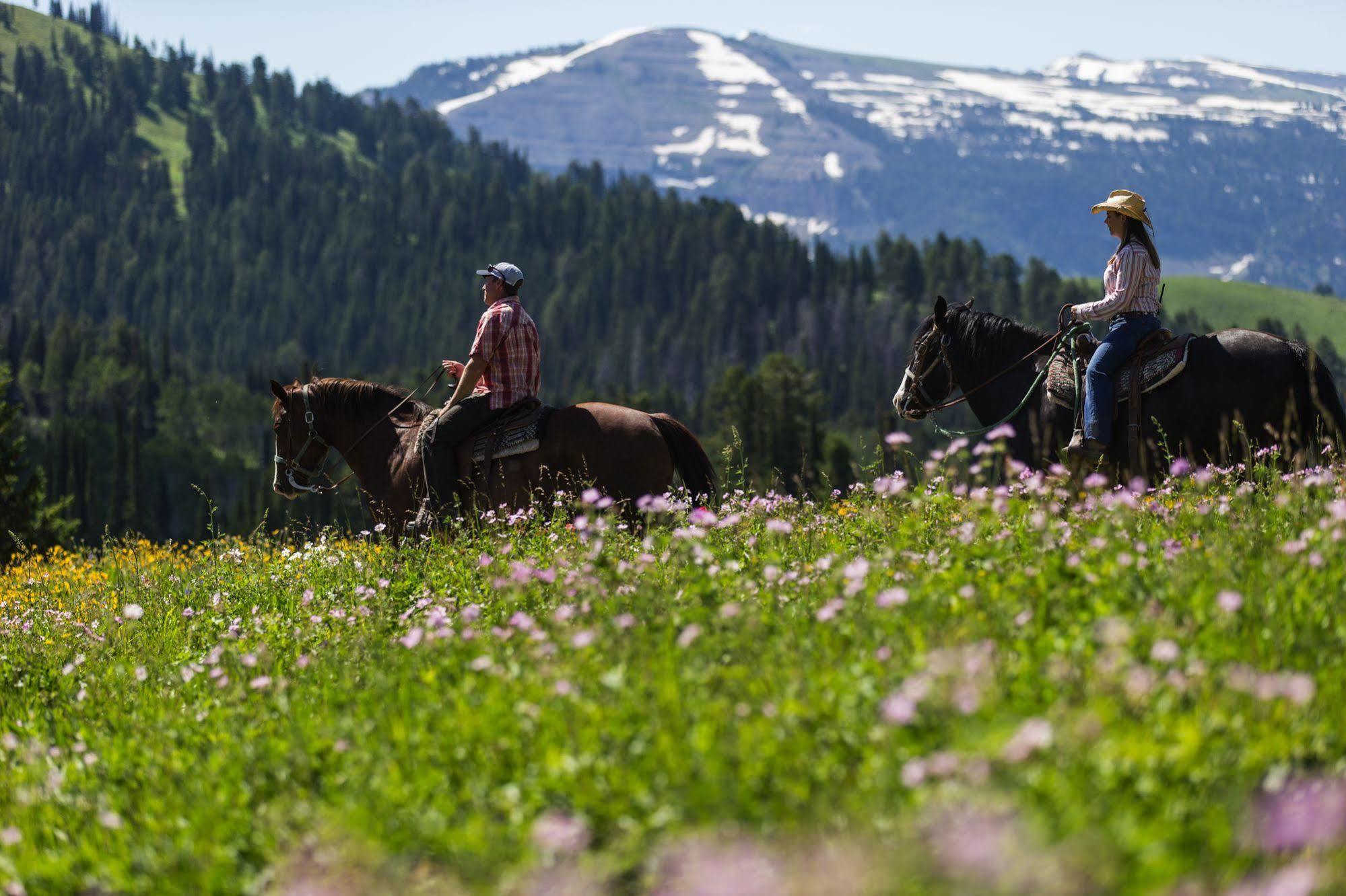Sioux Lodge By Grand Targhee Resort Alta المظهر الخارجي الصورة